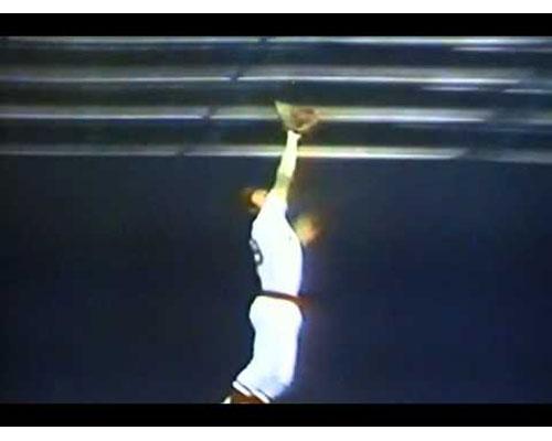 American League Outfield American League Outfield